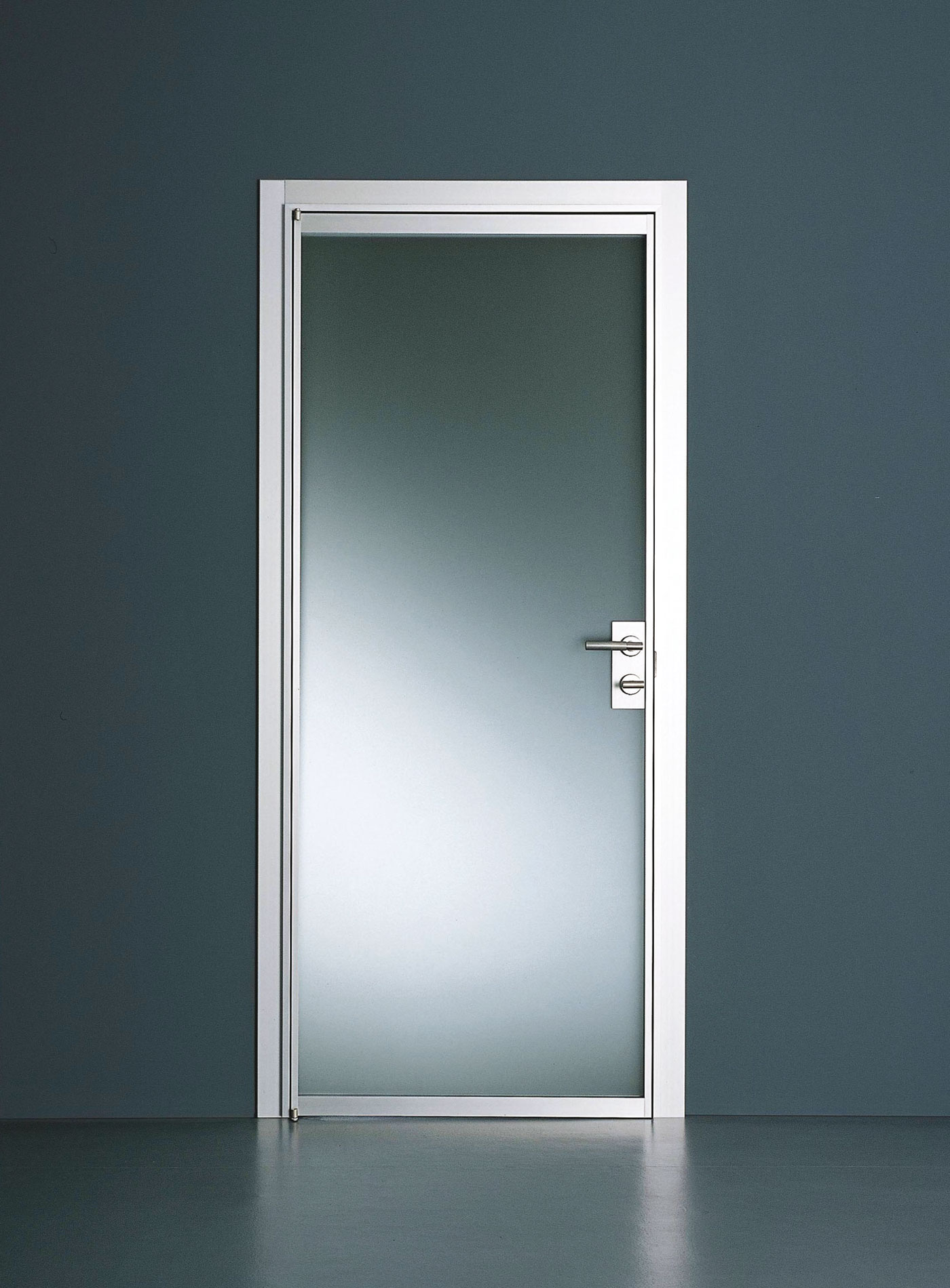 Дверь стекло межкомнатная алюминиевая. Стеклянная дверь. Стеклянные двери межкомнатные. Дверь со стеклом. Алюминиевые стеклянные двери.